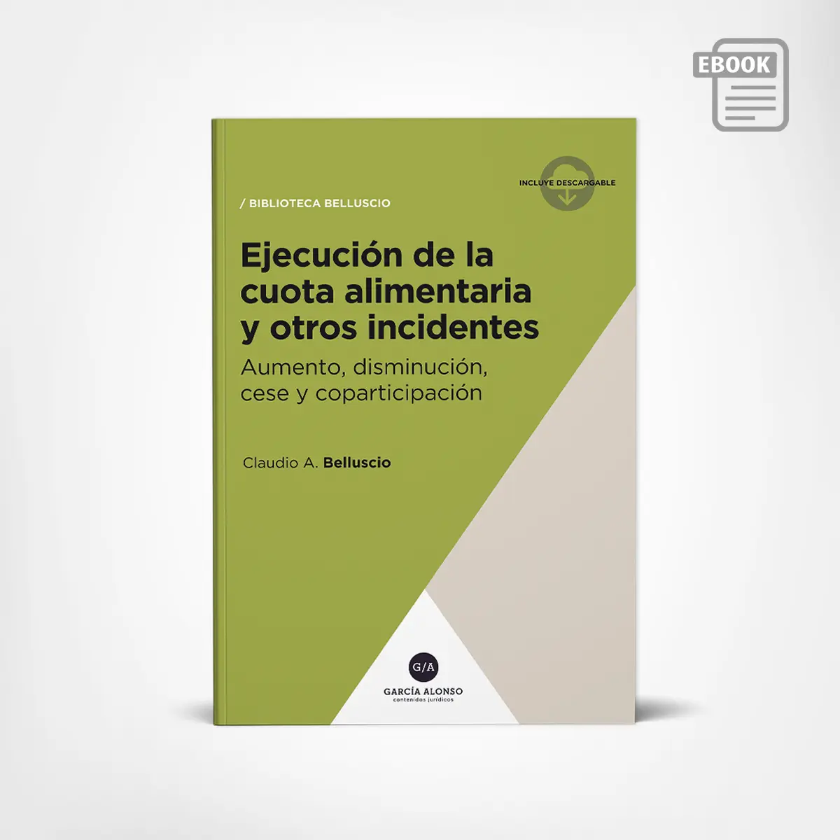 Belluscio: Ejecución de la cuota alimentaria